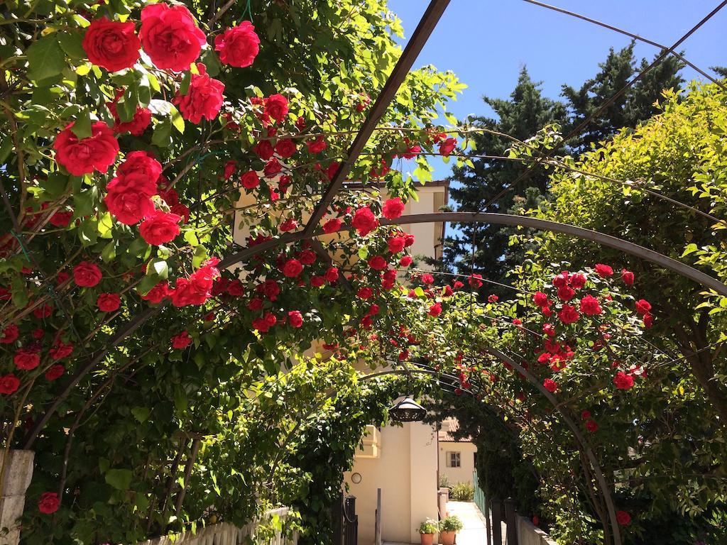 Hotel Parco Delle Rose San Giovanni Rotondo Exterior photo
